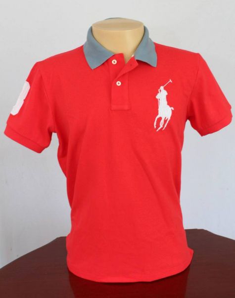 Camisa polo de grife (Hollister,Raulph Lauren.....)