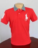 Camisa polo de grife (Hollister,Raulph Lauren.....)